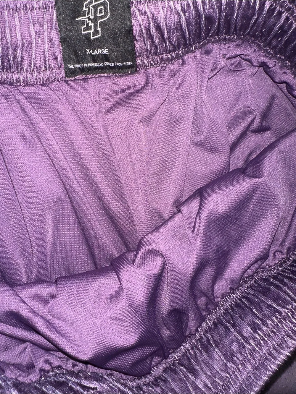 Inaka Power Mesh Gym Shorts Purple Patch Mens XL